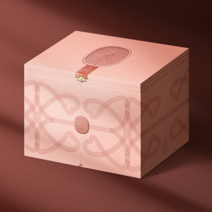 DVE_mockup3